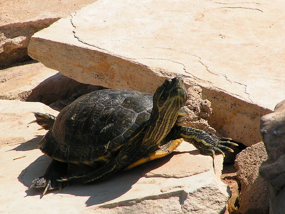  Ocean Aquarium Park u Protarasu 